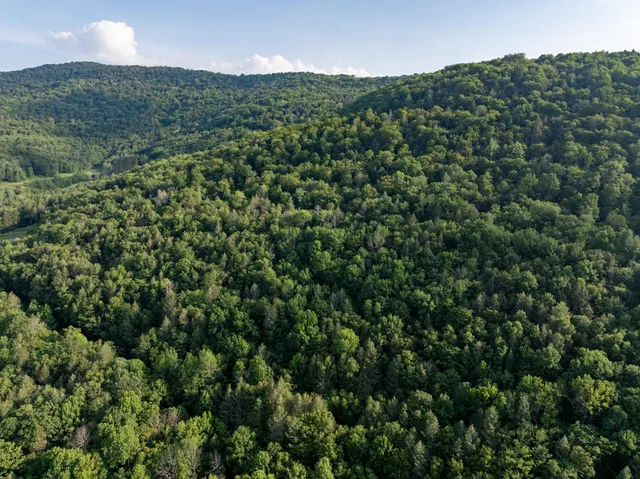 a view of a green field with lots of bushes