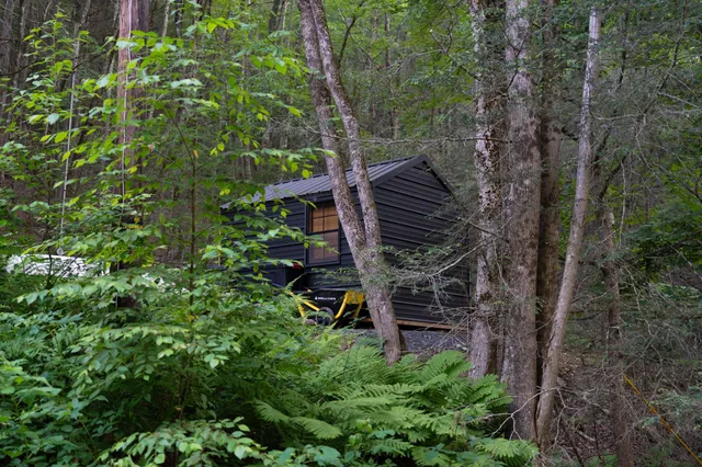 a view of a backyard