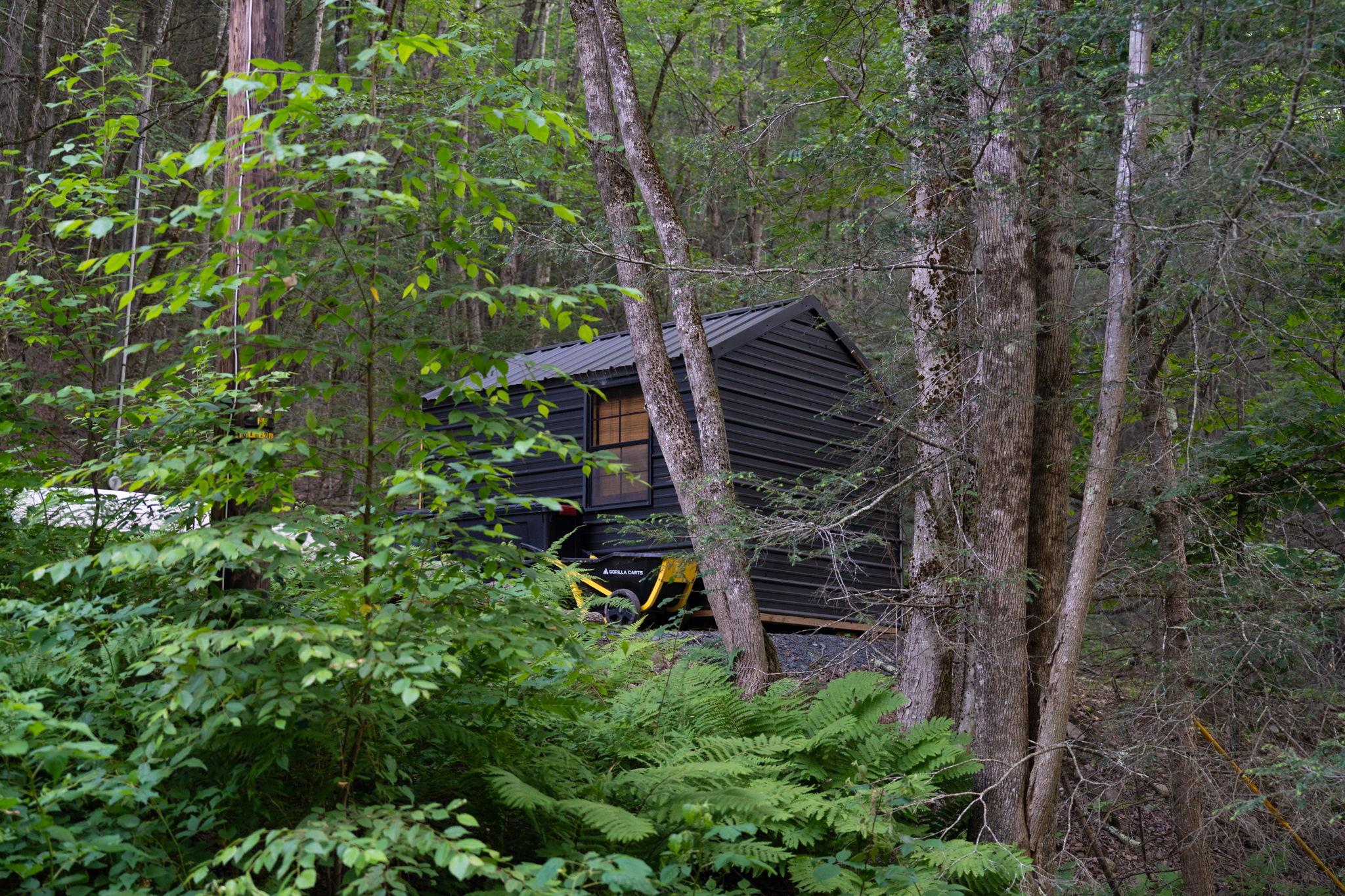 Broad Channel Road Andes, NY 13731 - Photo 6 of 23 a view of a backyard