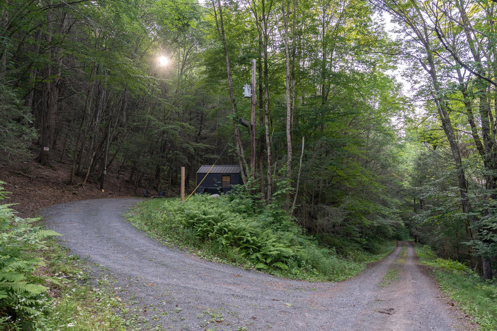 Broad Channel Road Andes, NY 13731 - Photo 8 of 23 a view of a forest with a trees