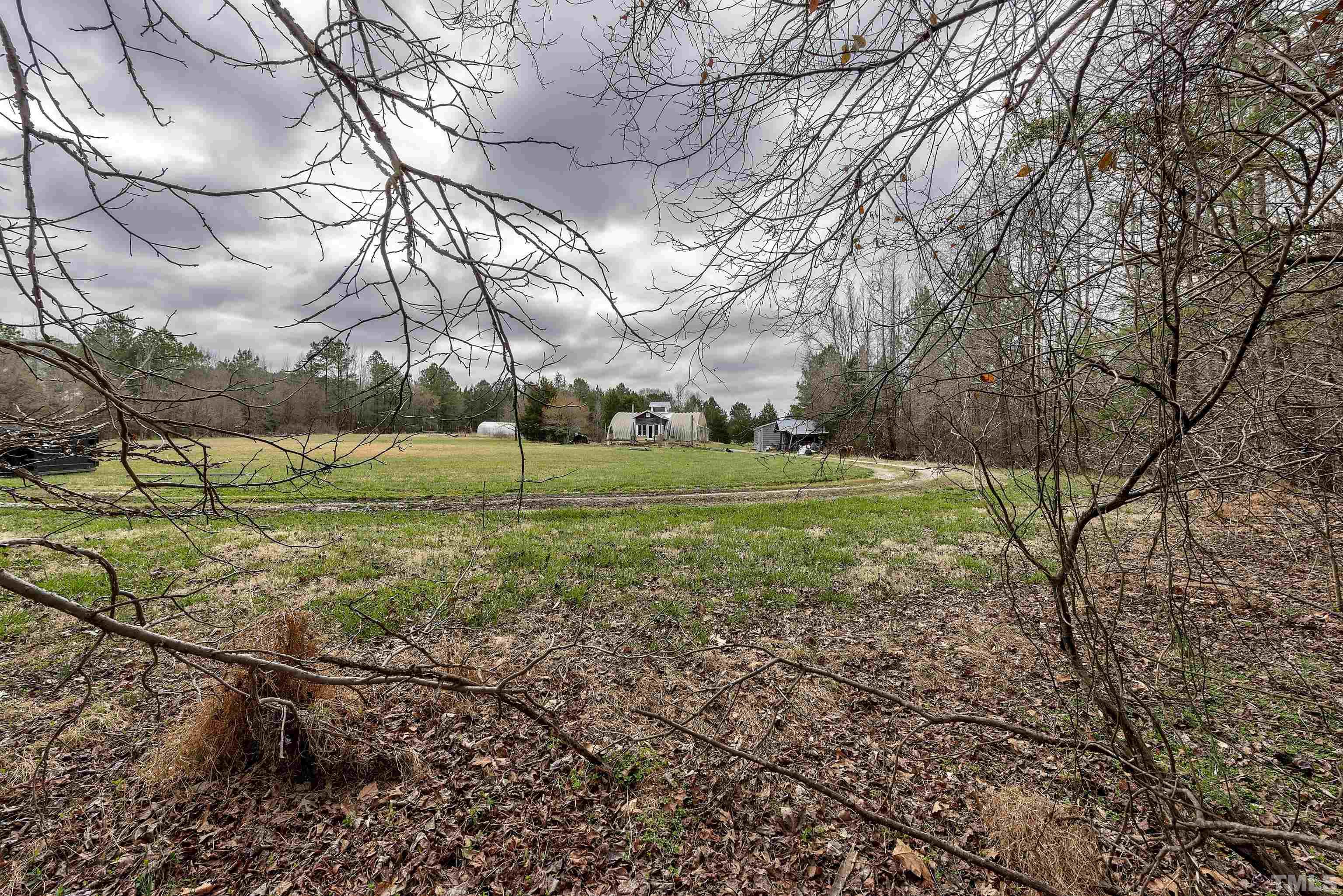 7409 Wiley Mangum Road Bahama, NC 27503 - Photo 2 of 20 a view of a field with trees