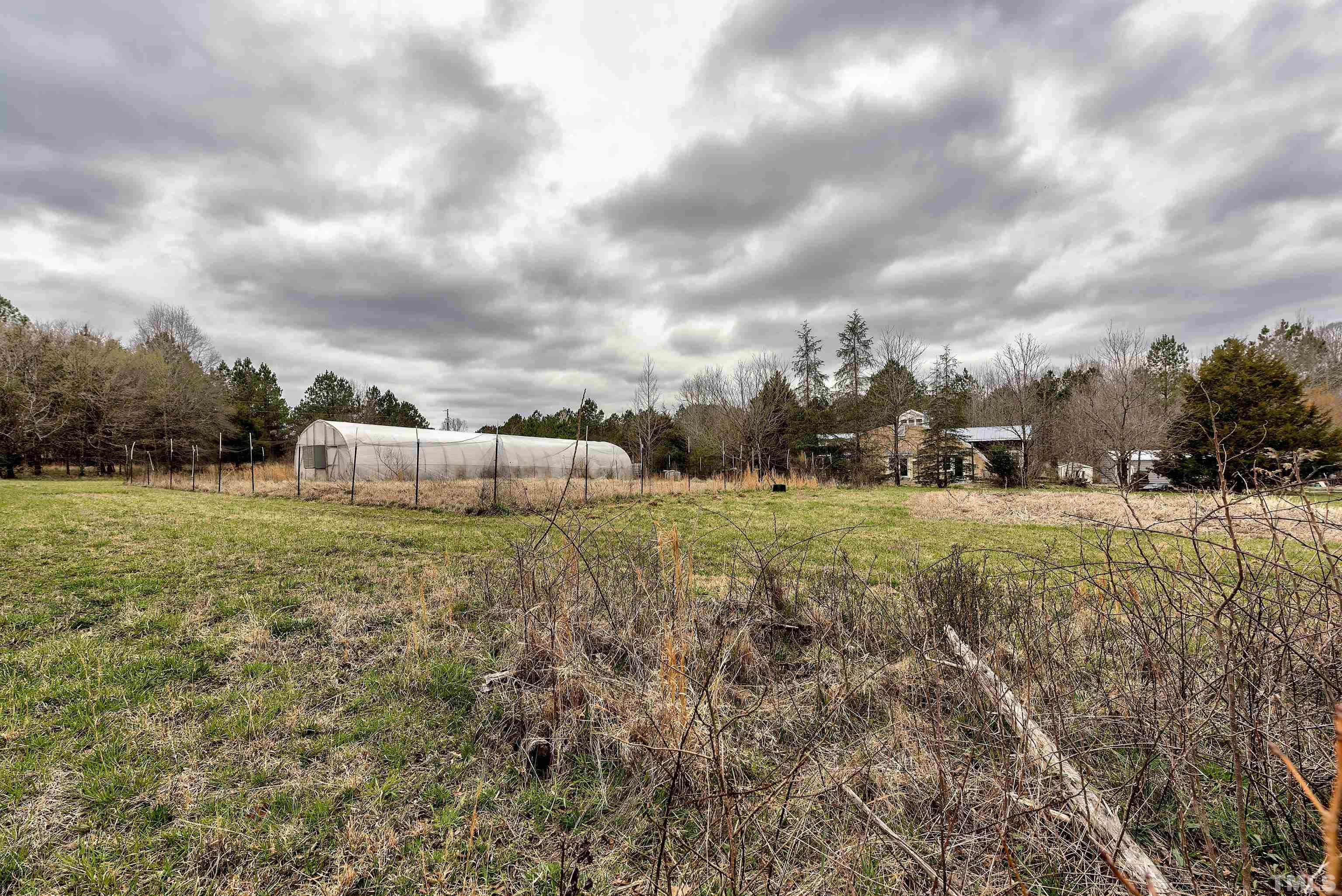 7409 Wiley Mangum Road Bahama, NC 27503 - Photo 4 of 20 a view of a field with trees in the background
