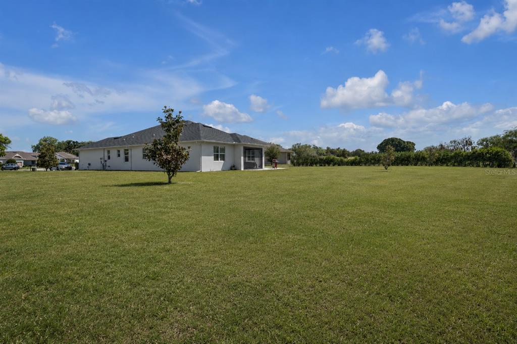 16288 Spring View Court Clermont, FL 34711 - Photo 39 of 58