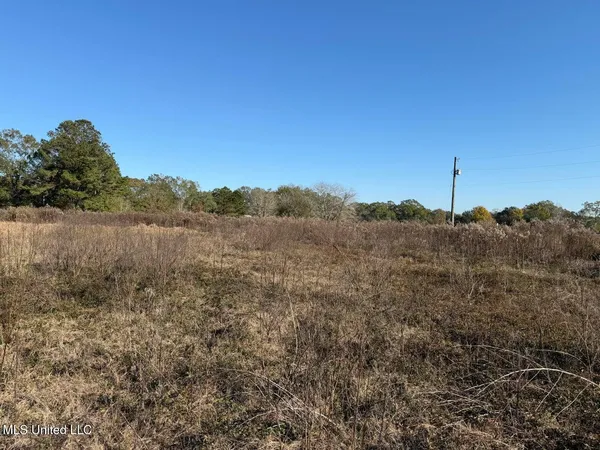 $38,500 | 1.5-acres Crenshaw Road, Lucedale, MS 39452