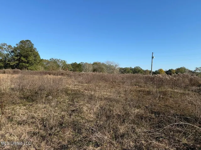 $39,900 | 1.79-acres Crenshaw Road, Lucedale, MS 39452