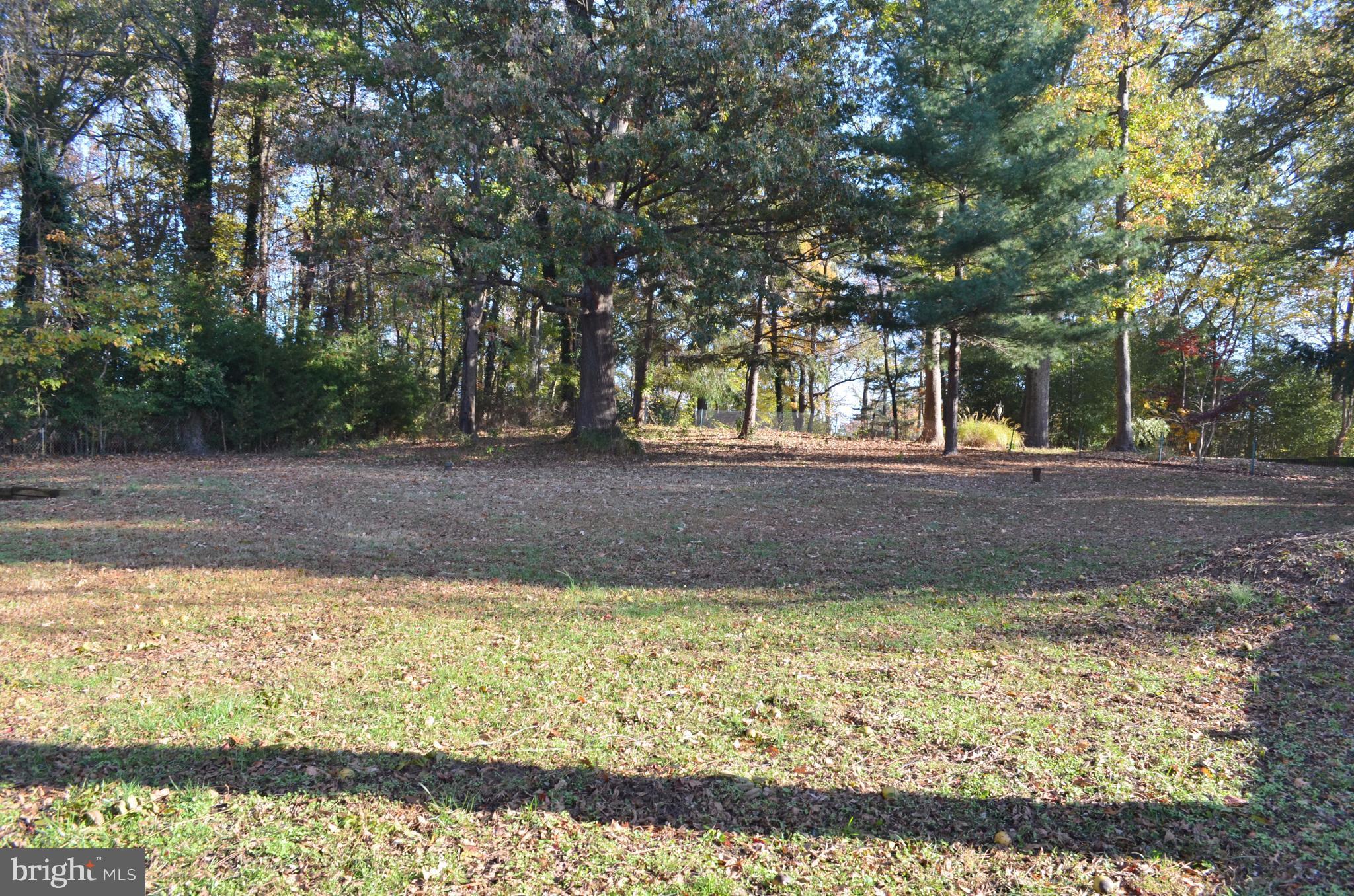 1365 Moyer Road Annapolis, MD 21403 - Photo 10 of 23 a view of a yard with a tree