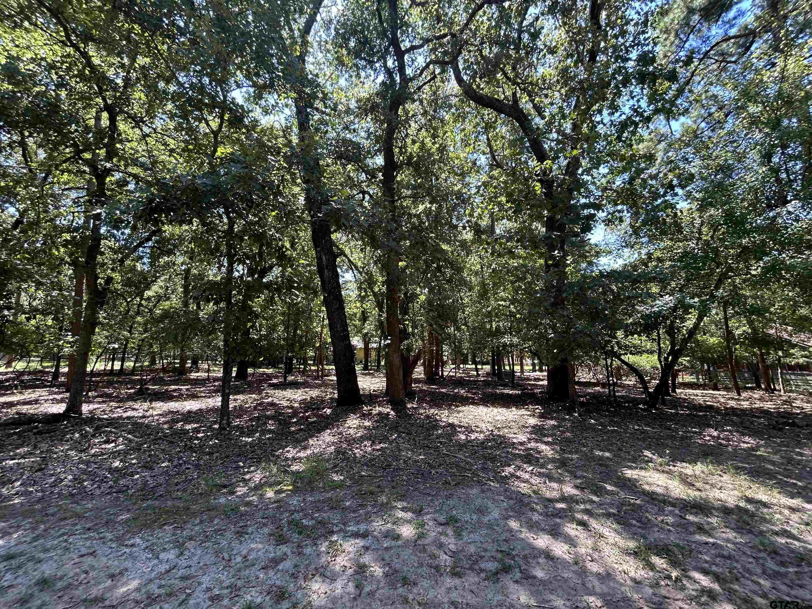 202 Magnolia Lane Holly Lake Ranch, TX 75765 - Photo 2 of 4 a view of outdoor space with lots of trees