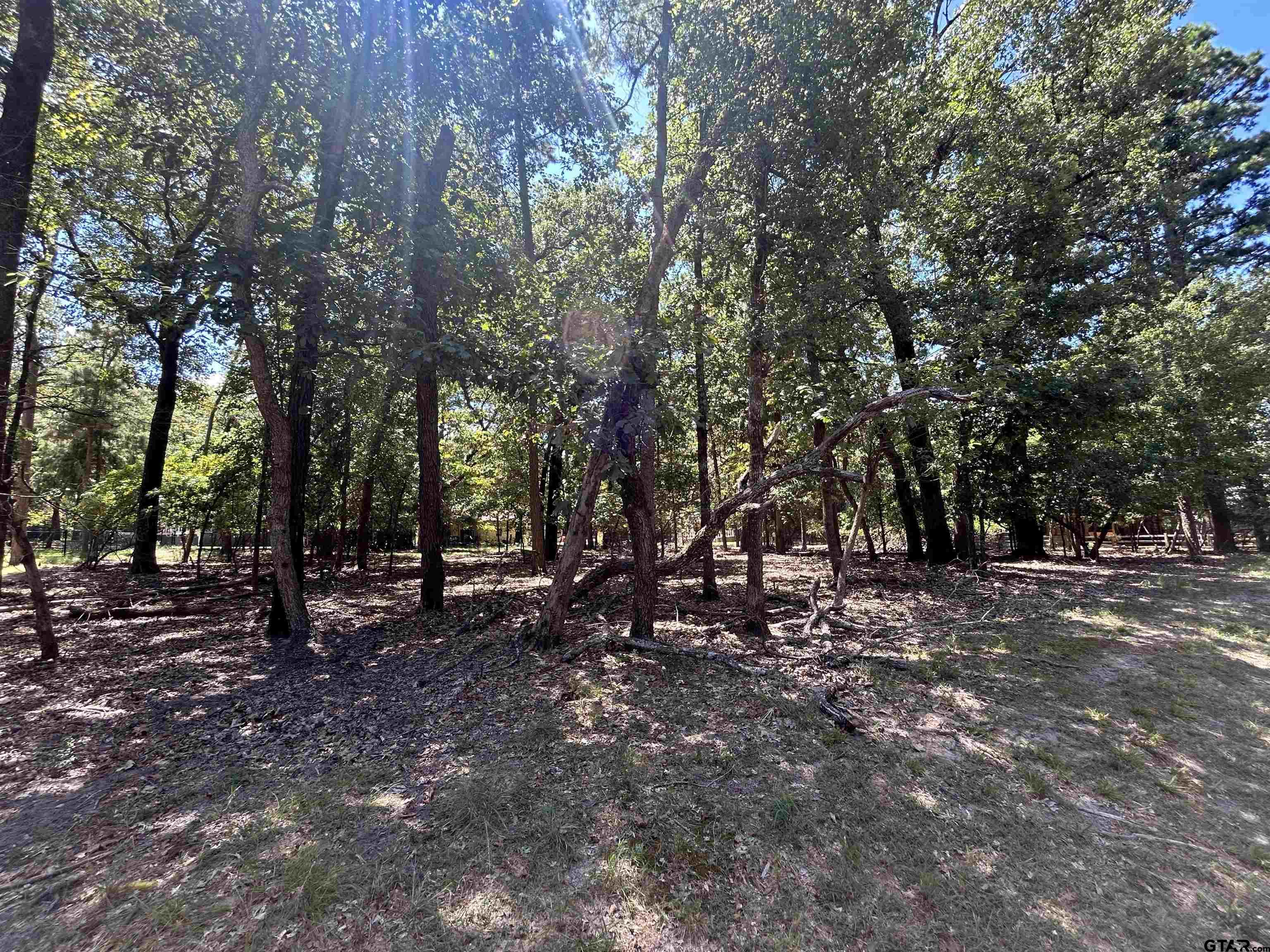 202 Magnolia Lane Holly Lake Ranch, TX 75765 - Photo 3 of 4 a view of a forest with trees in the background