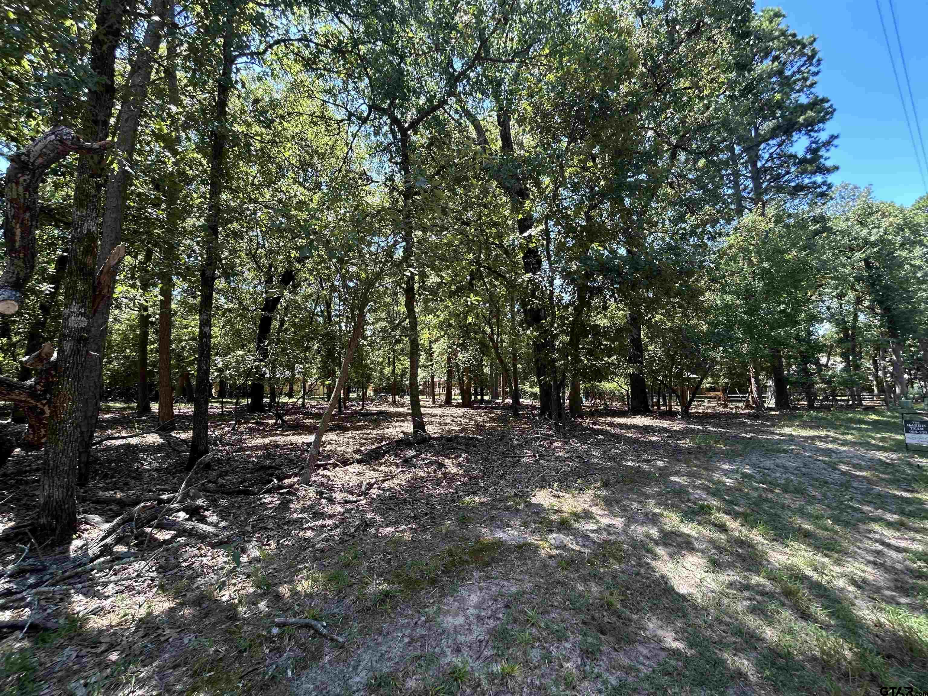 202 Magnolia Lane Holly Lake Ranch, TX 75765 - Photo 4 of 4 a view of a forest with trees in the background