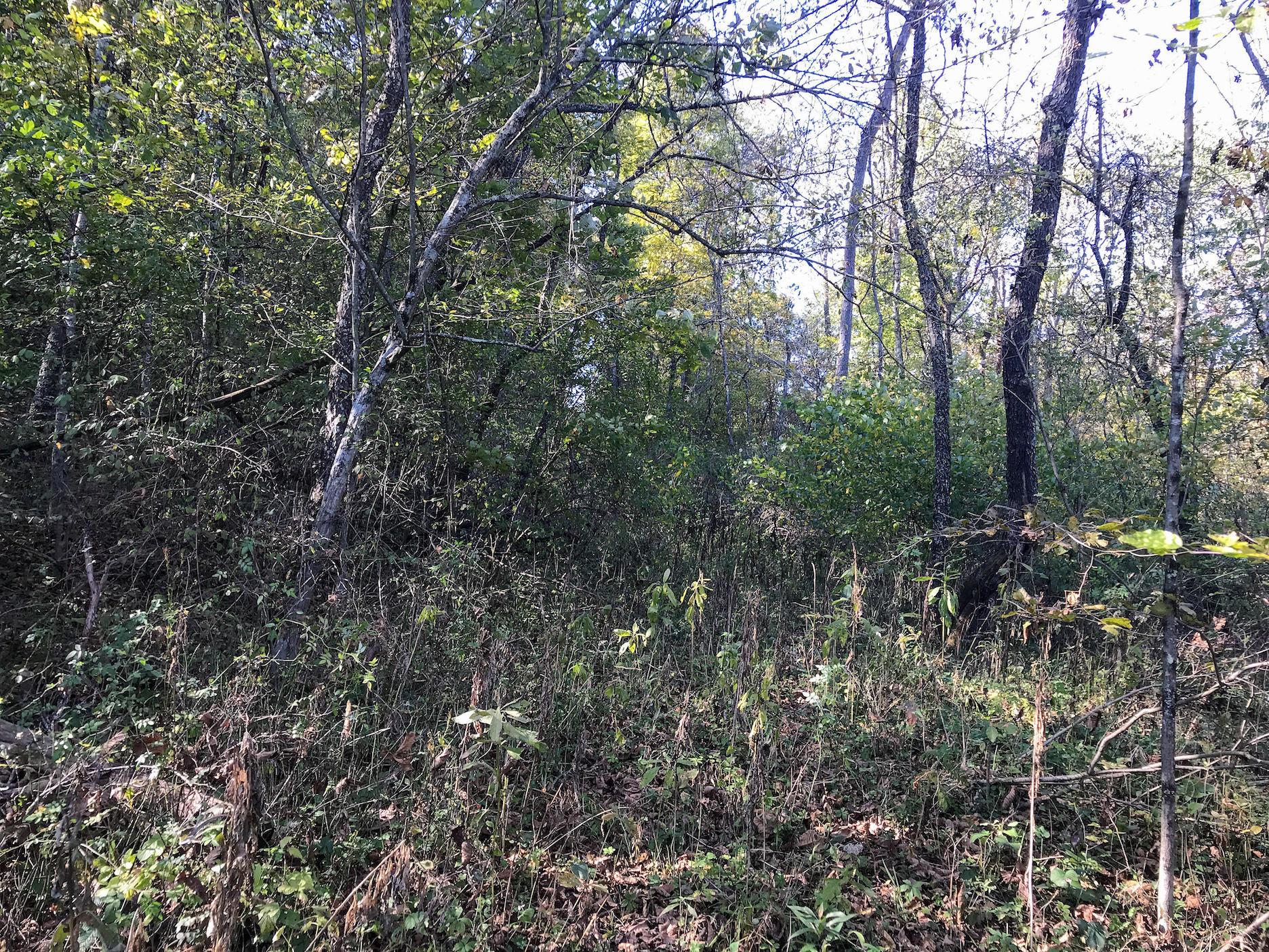 6868 Sherrard Road Cambridge, OH 43725 - Photo 24 of 41
