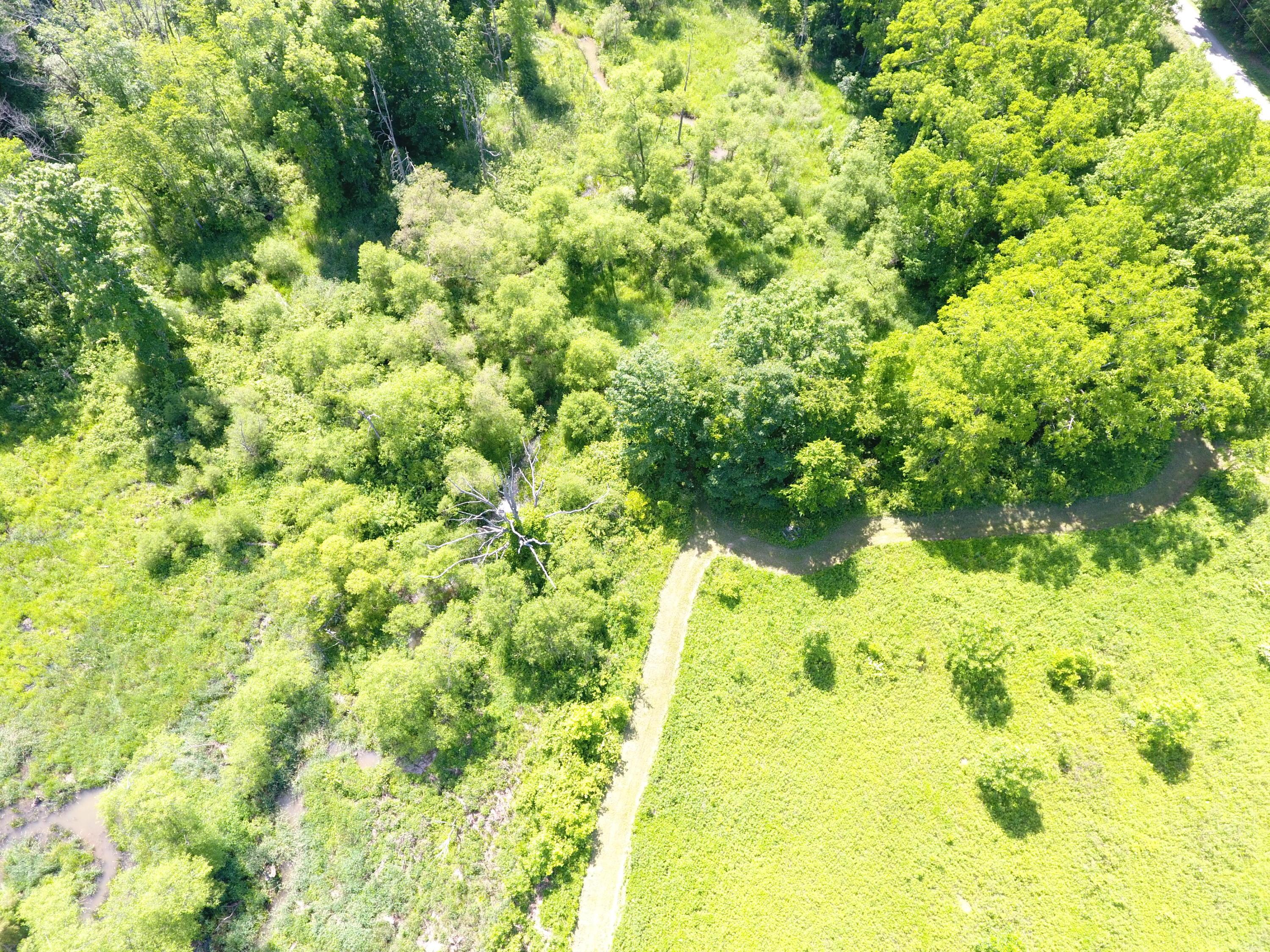 6868 Sherrard Road Cambridge, OH 43725 - Photo 4 of 41