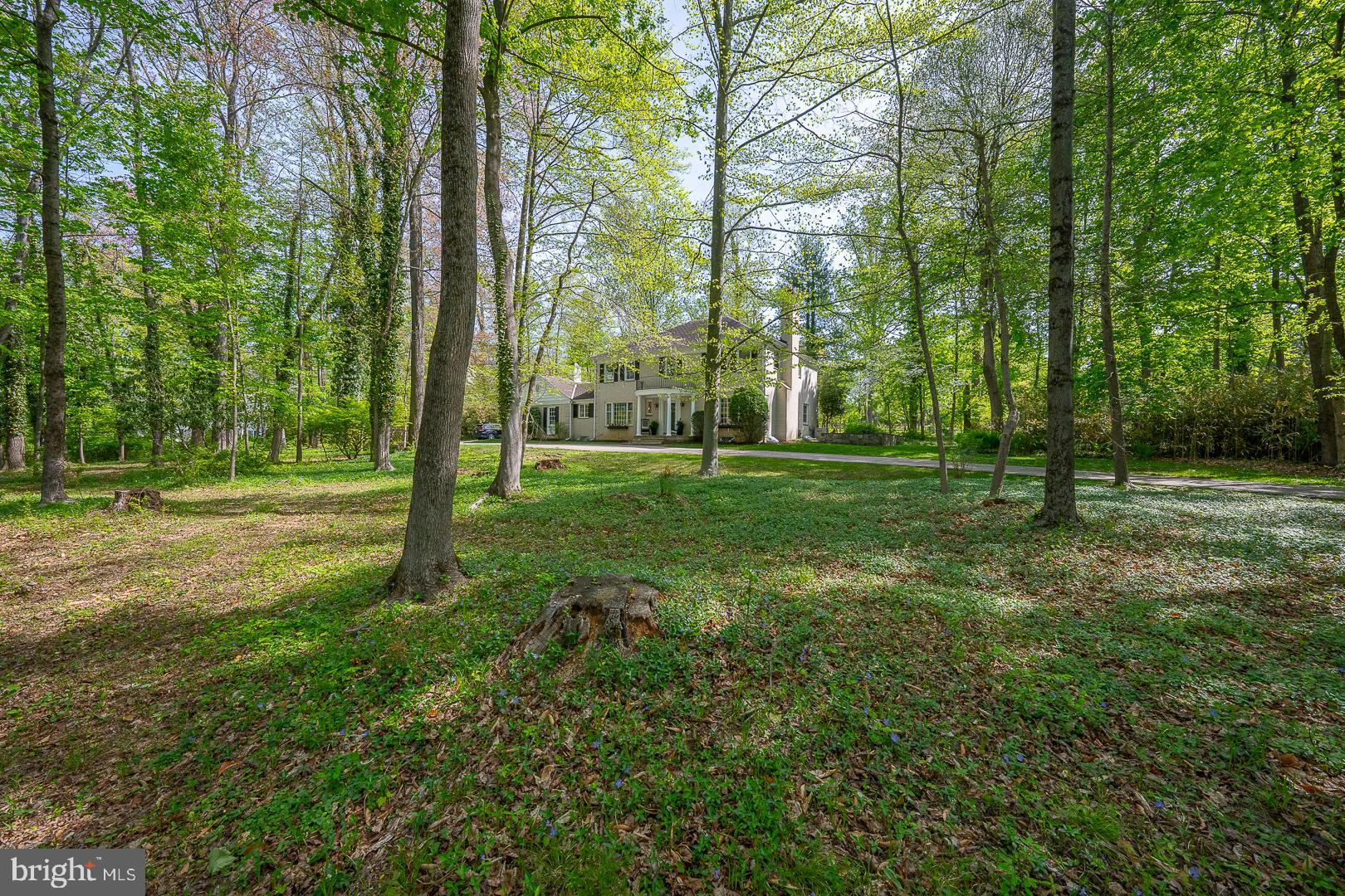 340 Chester Road Devon, PA 19333 - Photo 3 of 48 a view of a trees in a park