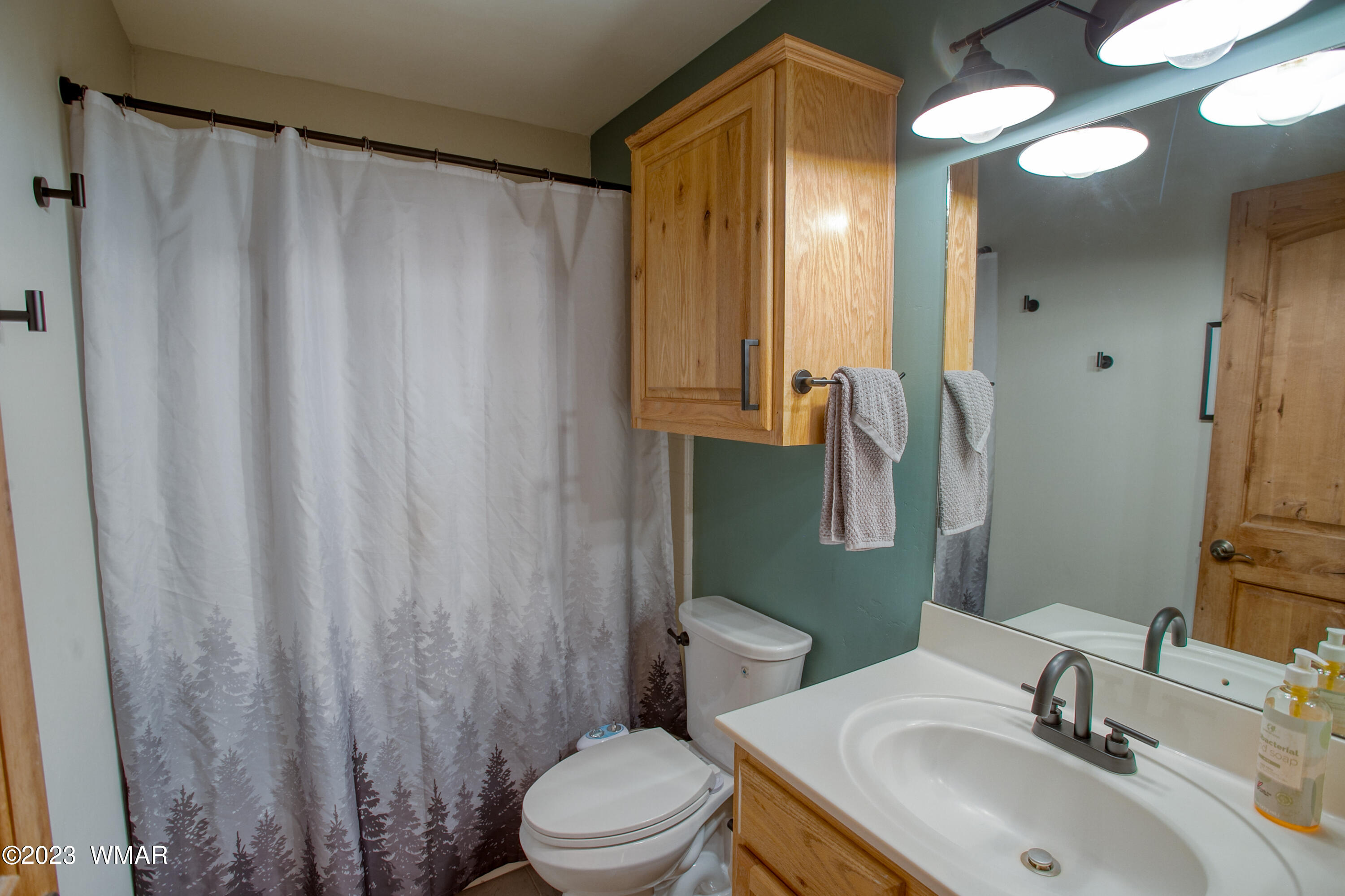 4821 West Cottage Loop Show Low, AZ 85901 - Photo 10 of 15