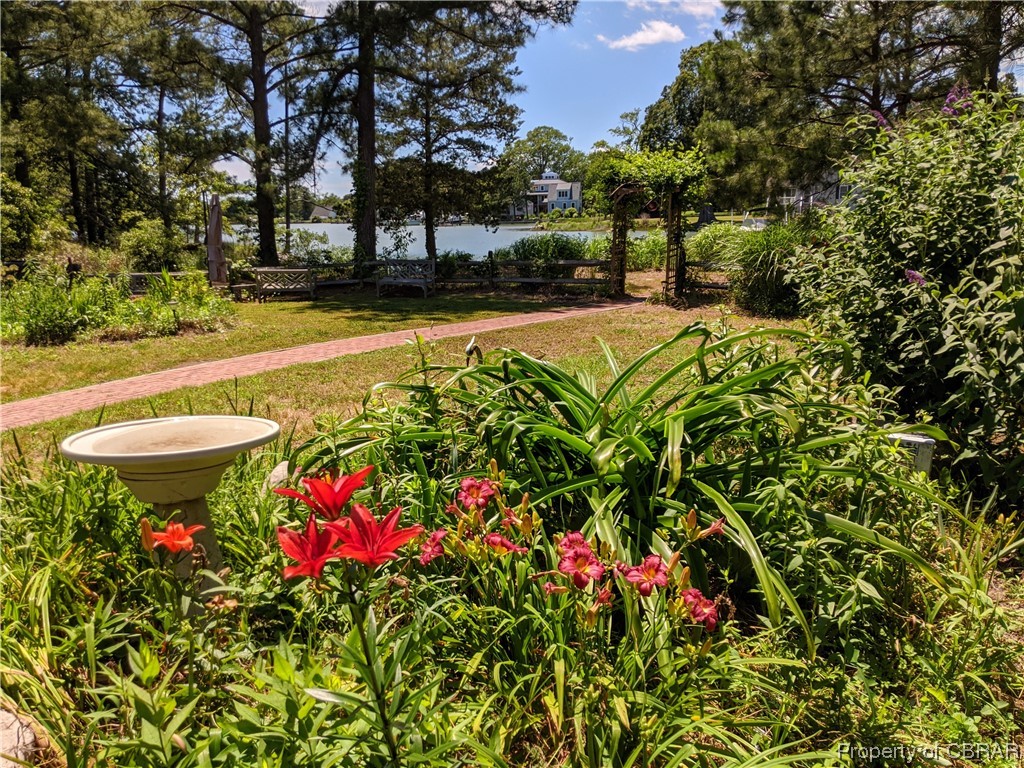 4324 Bluff Point Road Kilmarnock, VA 22482 - Photo 41 of 50