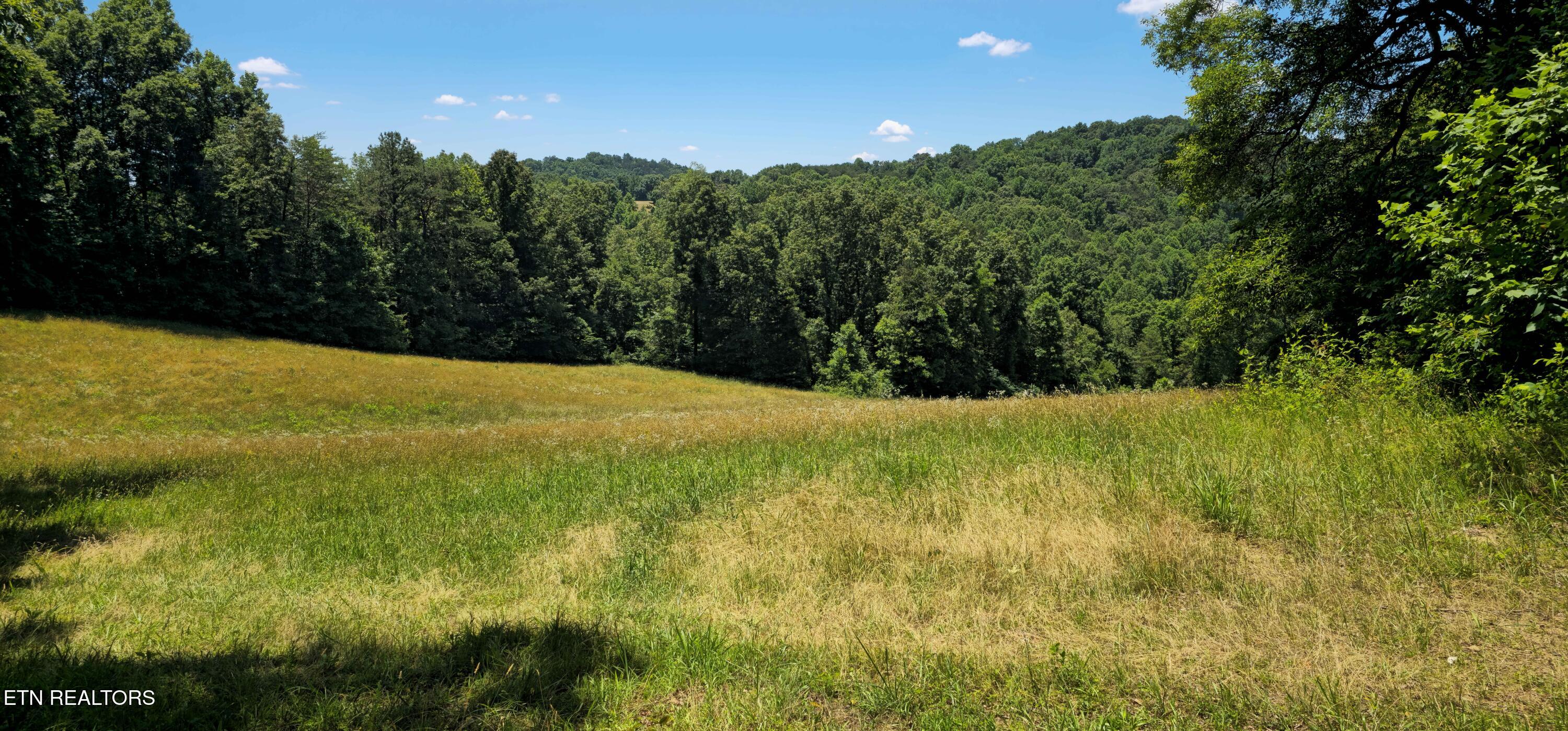 447 Walker Road Sharps Chapel, TN 37866 - Photo 25 of 60 11
