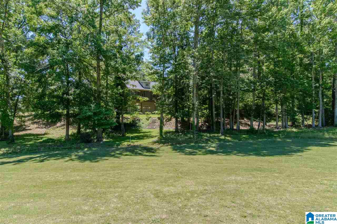 358 Quail Ridge Road Oneonta, AL 35121 - Photo 47 of 50