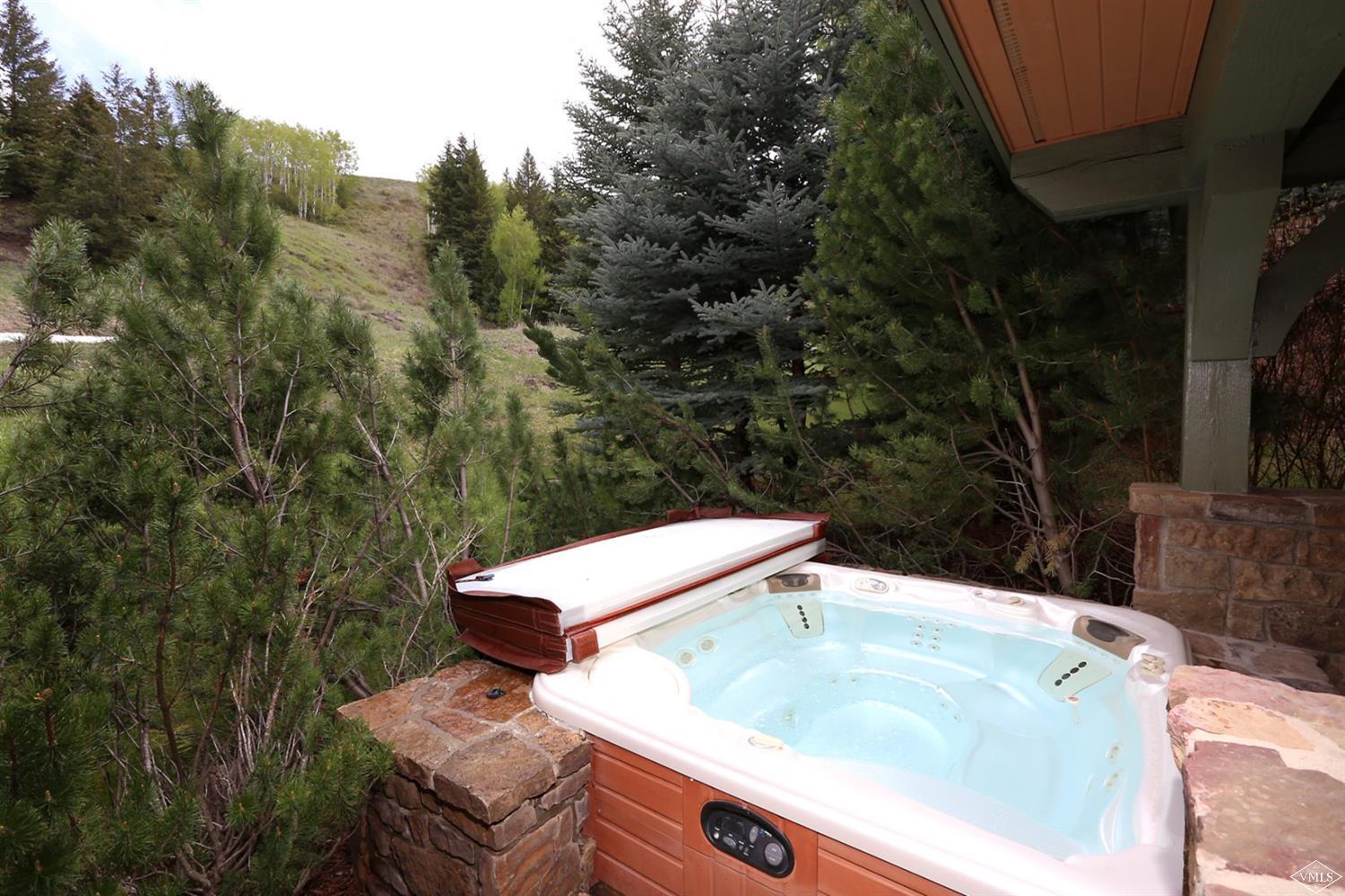 404 Cresta Road Edwards, CO 81632 - Photo 23 of 25 a view of a sink in a backyard