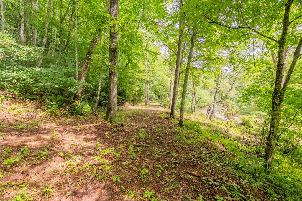 Tbd River Road, Unit 74 Hillsville, VA 24343 - Photo 10 of 31 Gallery Image 10