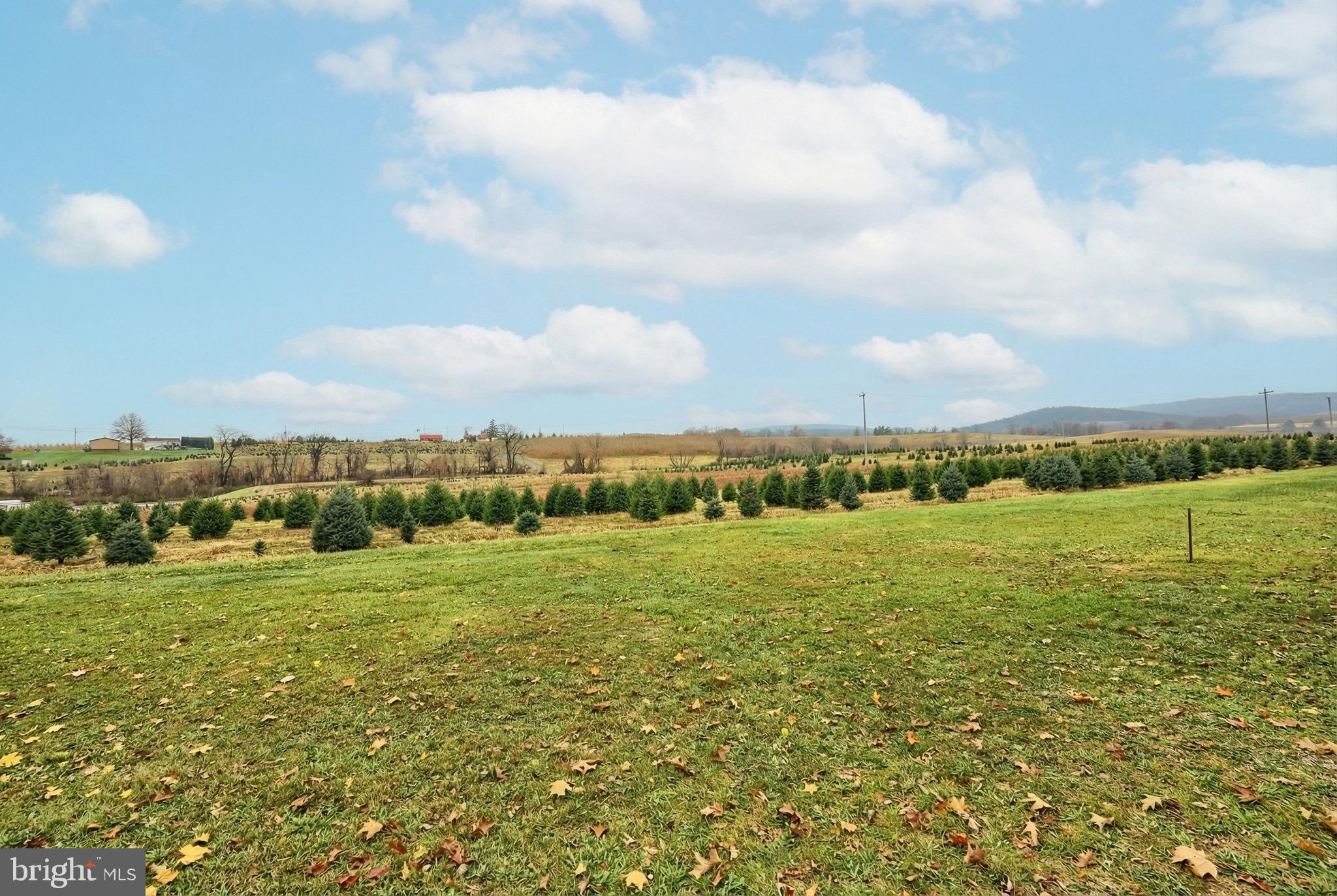 539 Aspers-Bendersville Road Aspers, PA 17304 - Photo 22 of 26 a view of an ocean