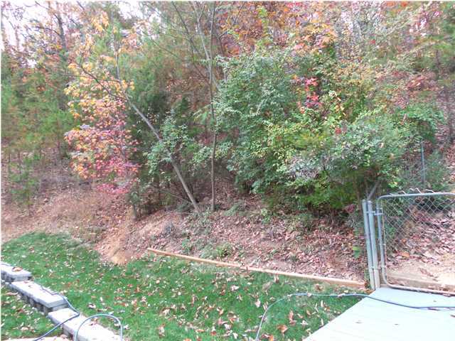 8229 Tyne Ridge Road Chattanooga, TN 37421 - Photo 8 of 29 Additional Photo