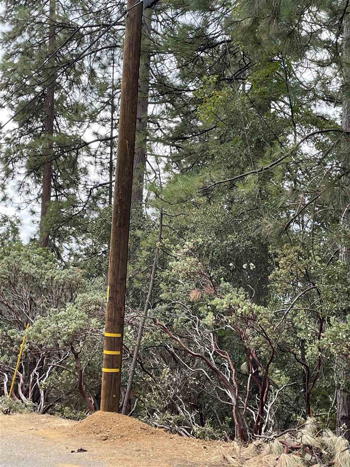 1 Stable Sonora, CA 95370 - Photo 11 of 19 a outdoor space with lots of trees