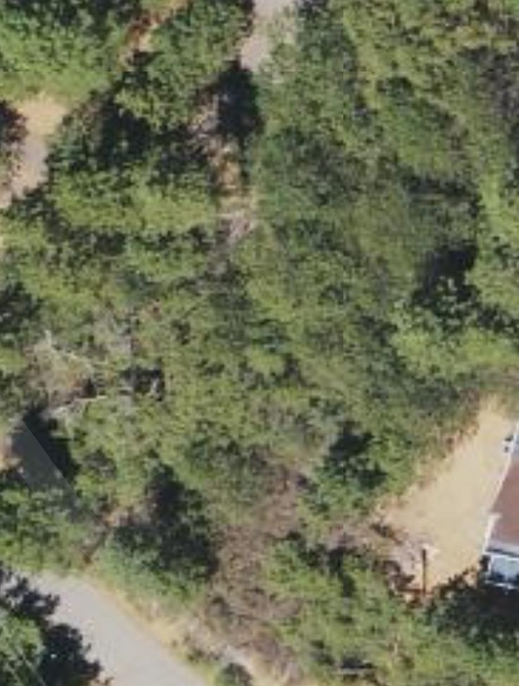 1 Stable Sonora, CA 95370 - Photo 12 of 19 a view of a yard