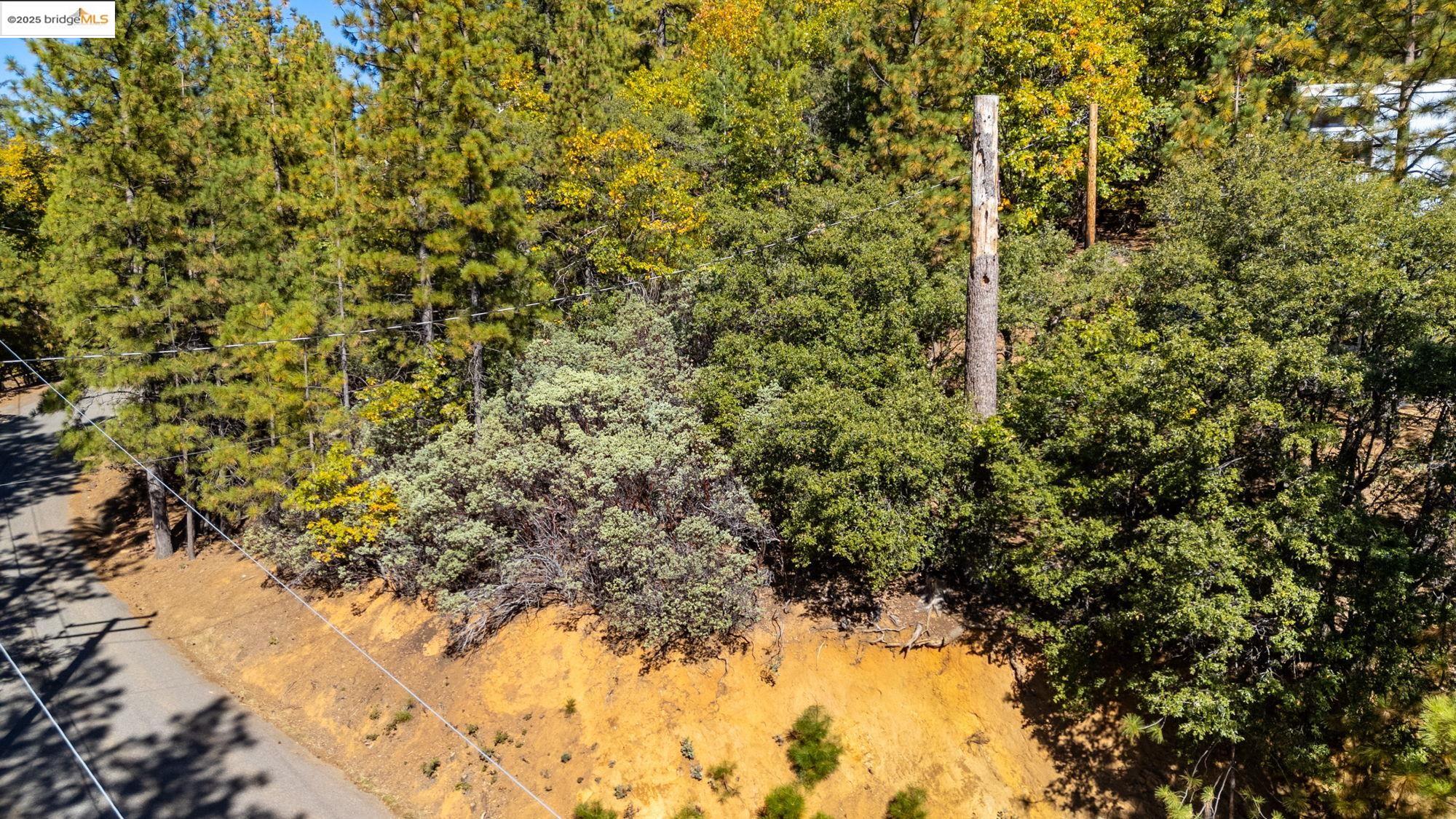 1 Stable Sonora, CA 95370 - Photo 13 of 19