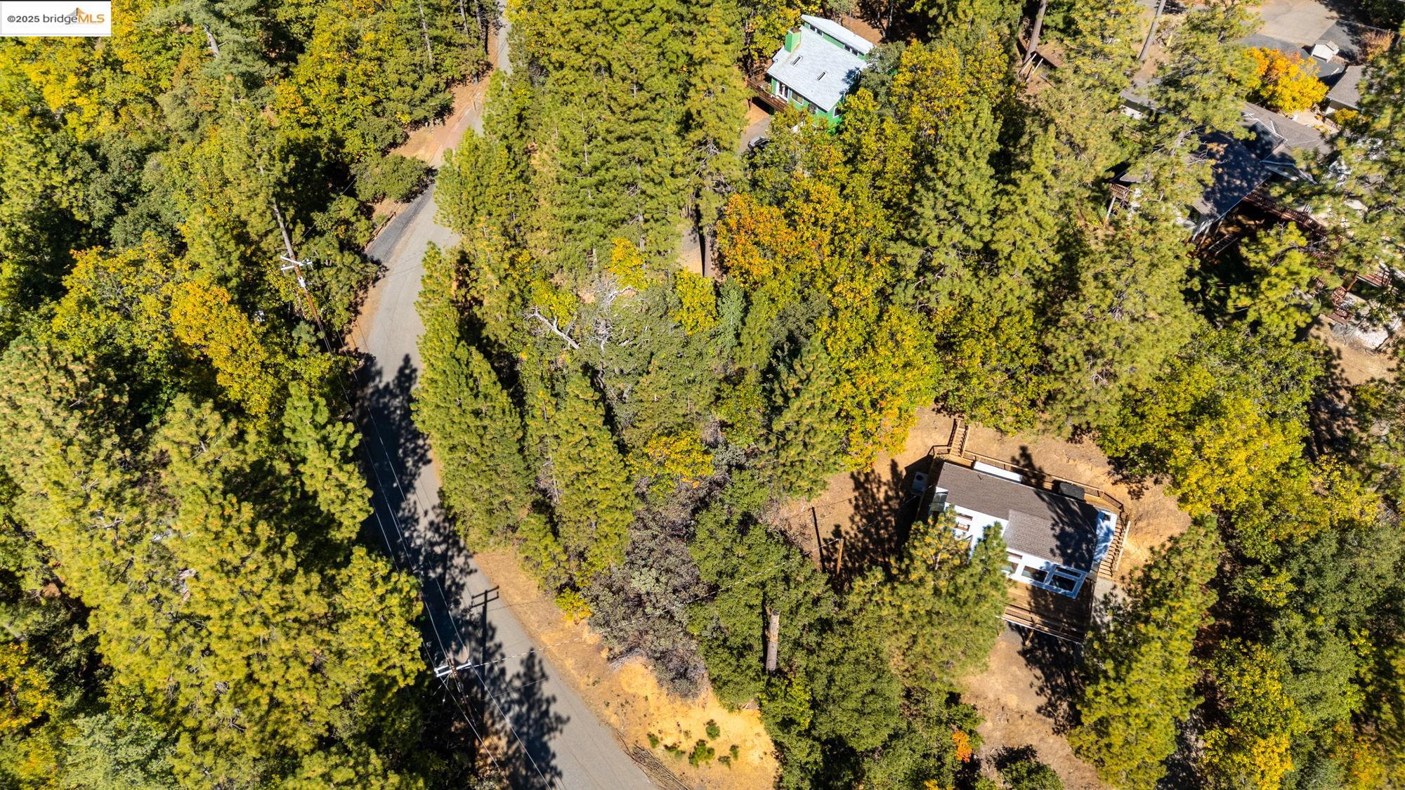 1 Stable Sonora, CA 95370 - Photo 14 of 19 a view of a tree