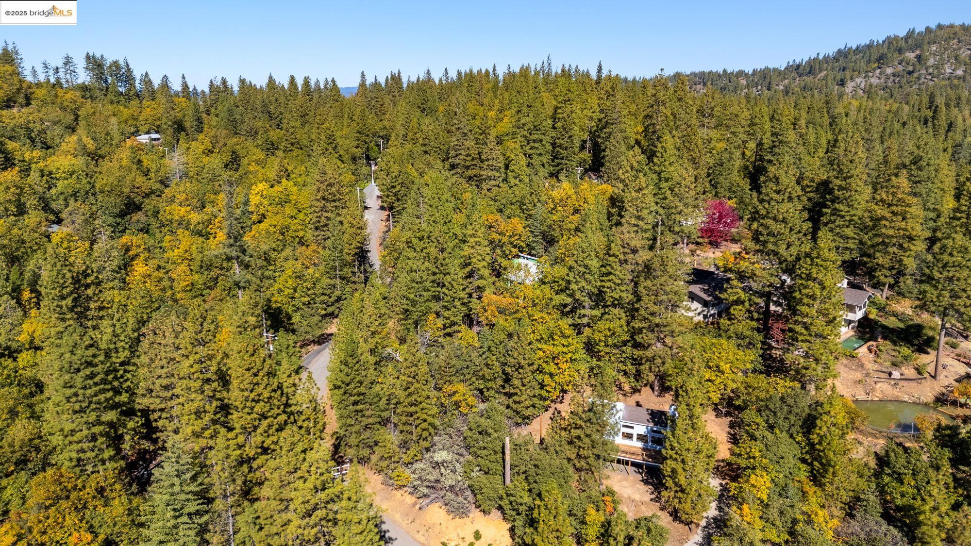 1 Stable Sonora, CA 95370 - Photo 15 of 19 a view of a bunch of trees