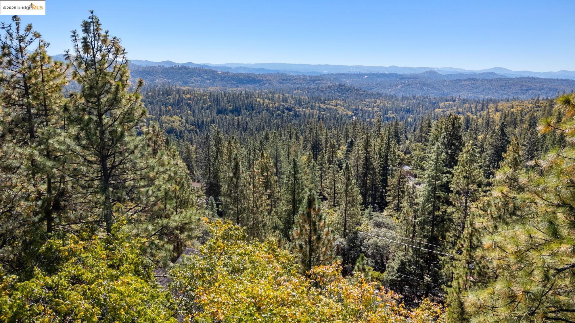 1 Stable Sonora, CA 95370 - Photo 16 of 19 a view of a city with lush green forest
