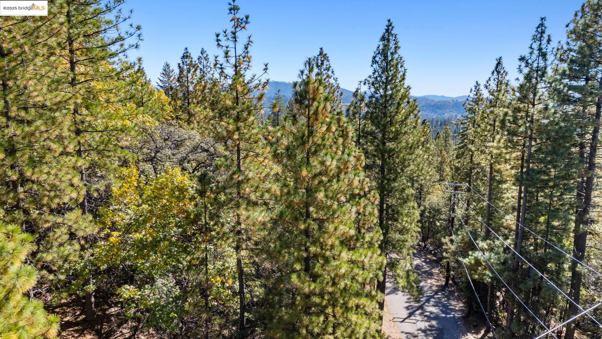 1 Stable Sonora, CA 95370 - Photo 17 of 19 a view of a city with lush green forest