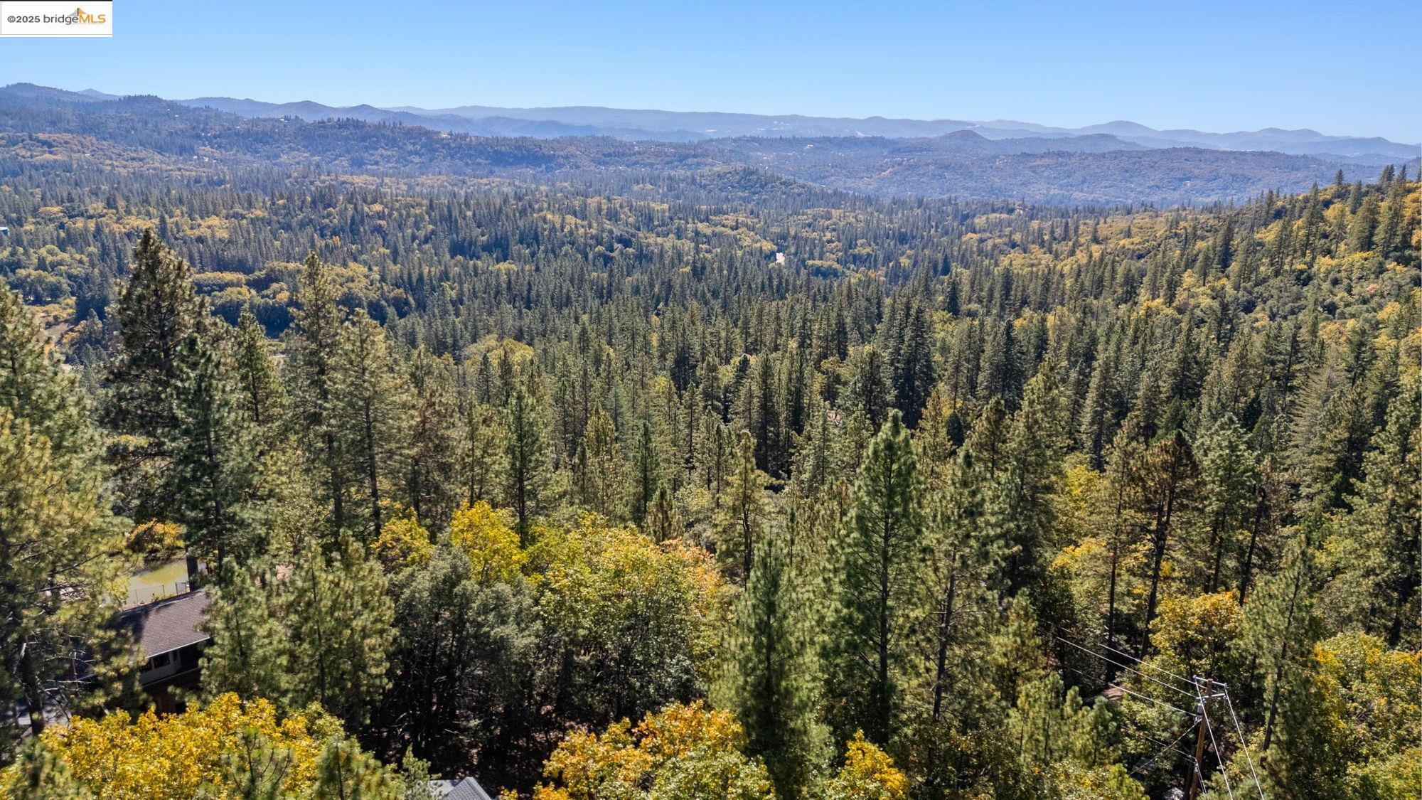 1 Stable Sonora, CA 95370 - Photo 19 of 19 a view of a lush green field with lots of bushes