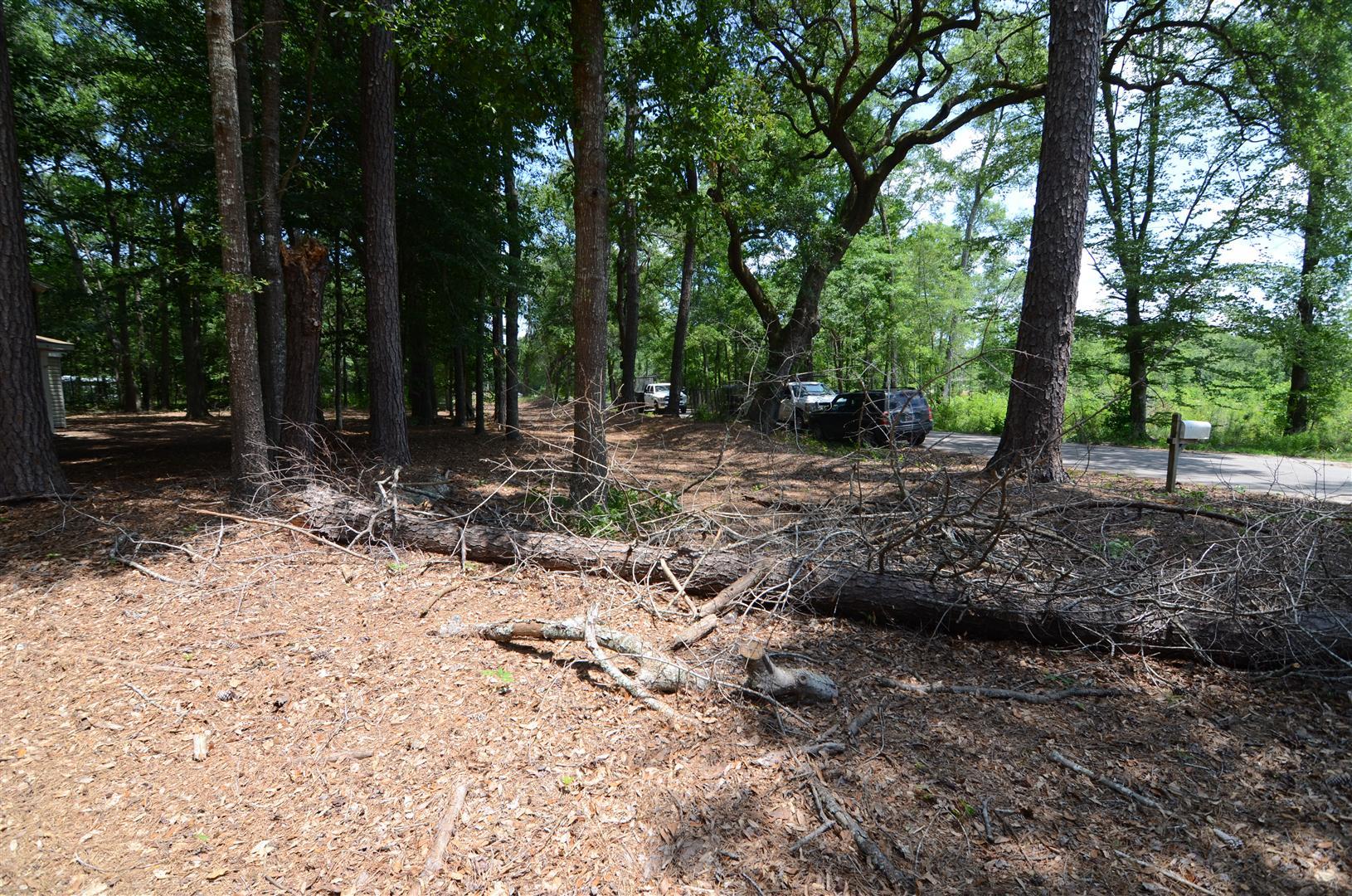 7106 Old Jacksonboro Road Ravenel, SC 29470 - Photo 13 of 14 Back