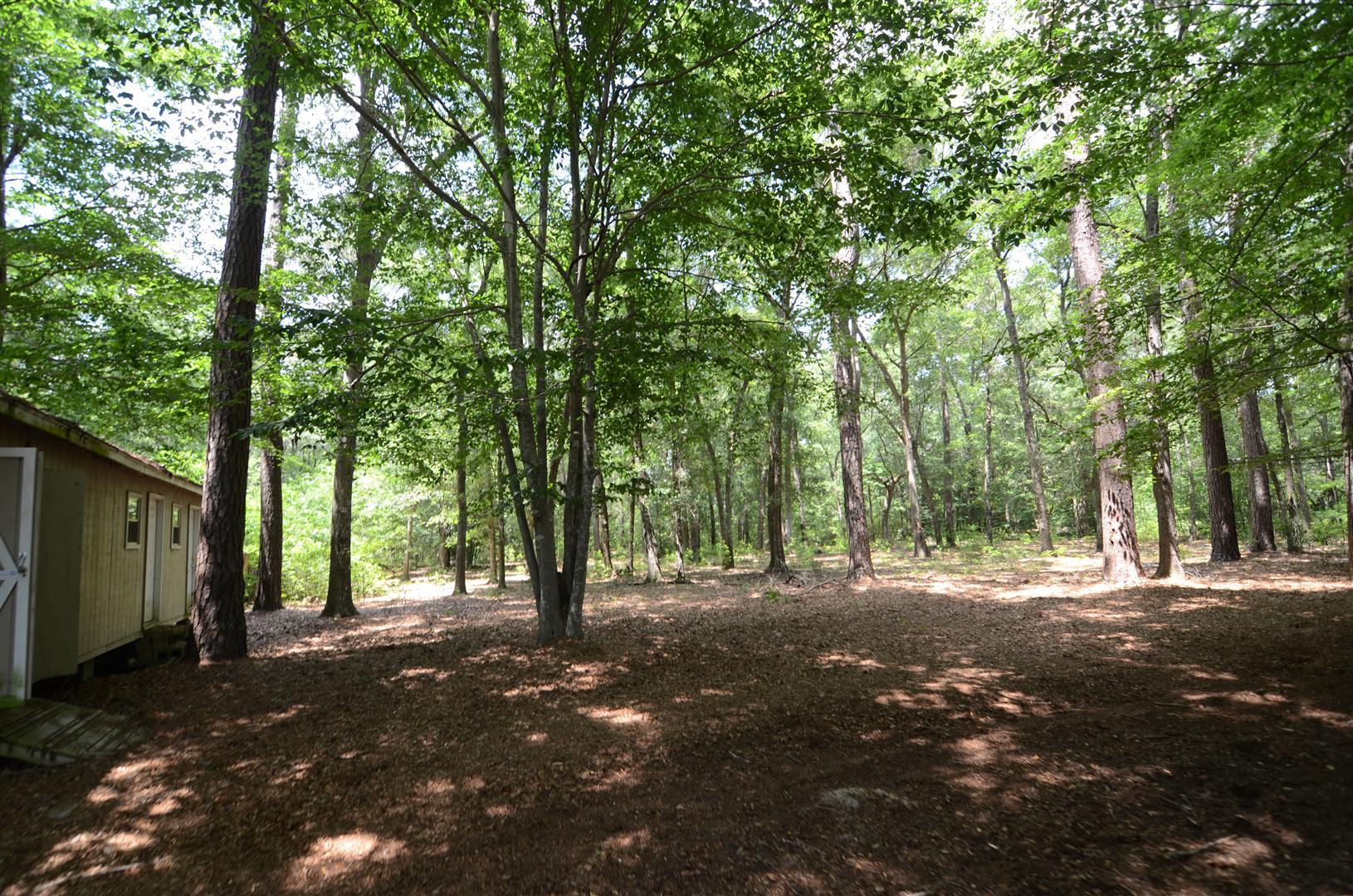 7106 Old Jacksonboro Road Ravenel, SC 29470 - Photo 14 of 14 Back