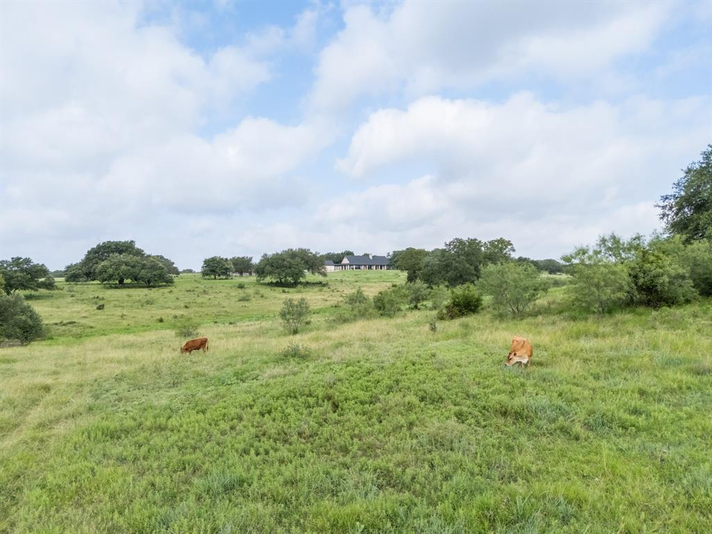 3648 Talbert Ranch Road China Spring, TX 76633 - Photo 37 of 39 Back pasture