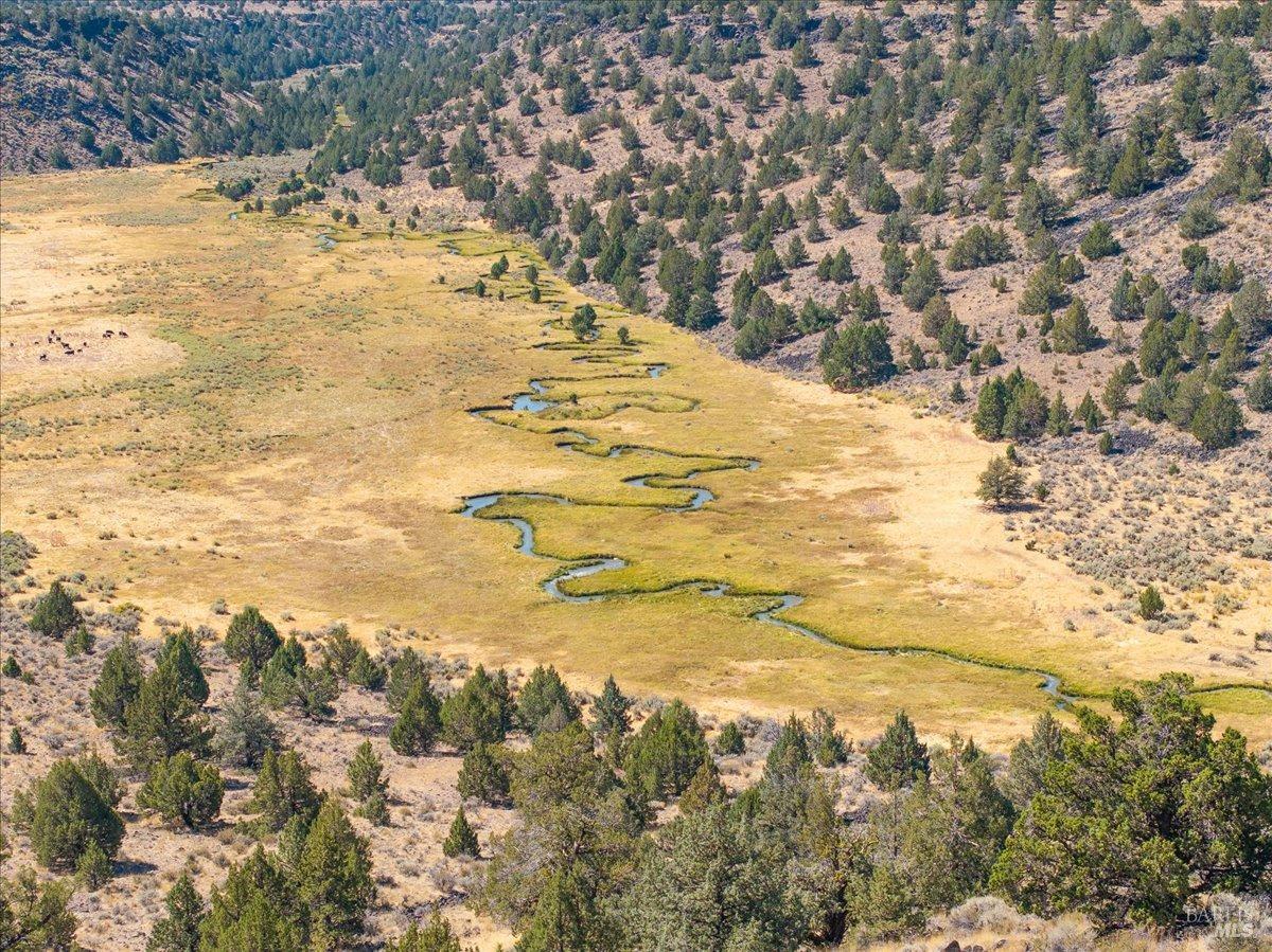 737-650 Tuledad Road Ravendale, CA 96123 - Photo 22 of 42