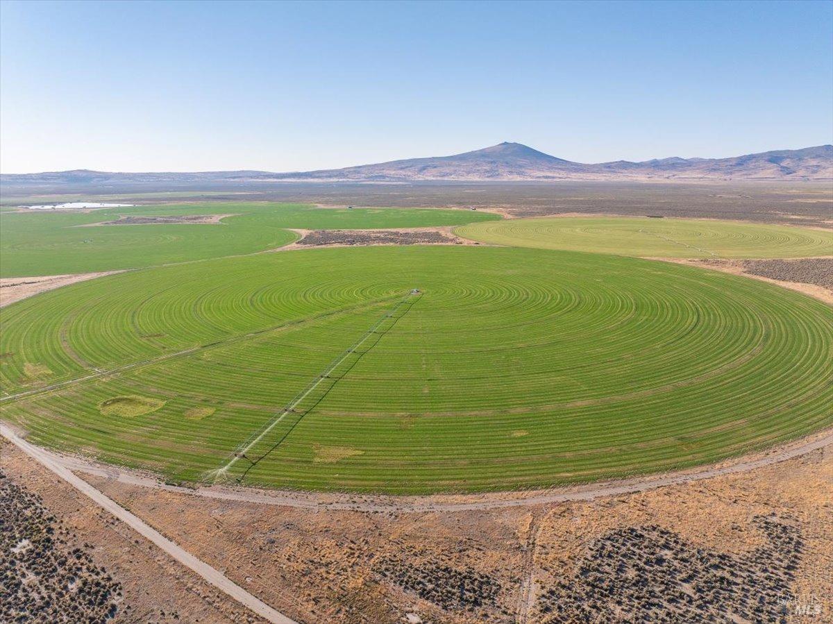 737-650 Tuledad Road Ravendale, CA 96123 - Photo 3 of 42