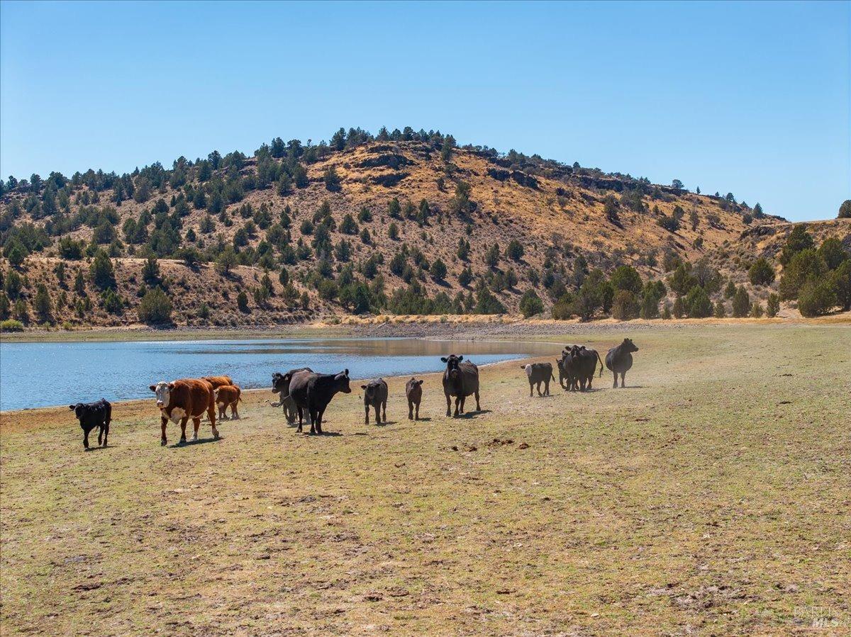 737-650 Tuledad Road Ravendale, CA 96123 - Photo 32 of 42