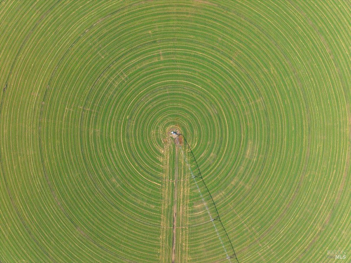 737-650 Tuledad Road Ravendale, CA 96123 - Photo 6 of 42