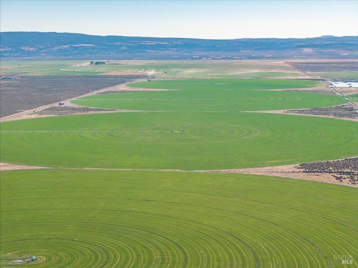 737-650 Tuledad Road Ravendale, CA 96123 - Photo 8 of 42