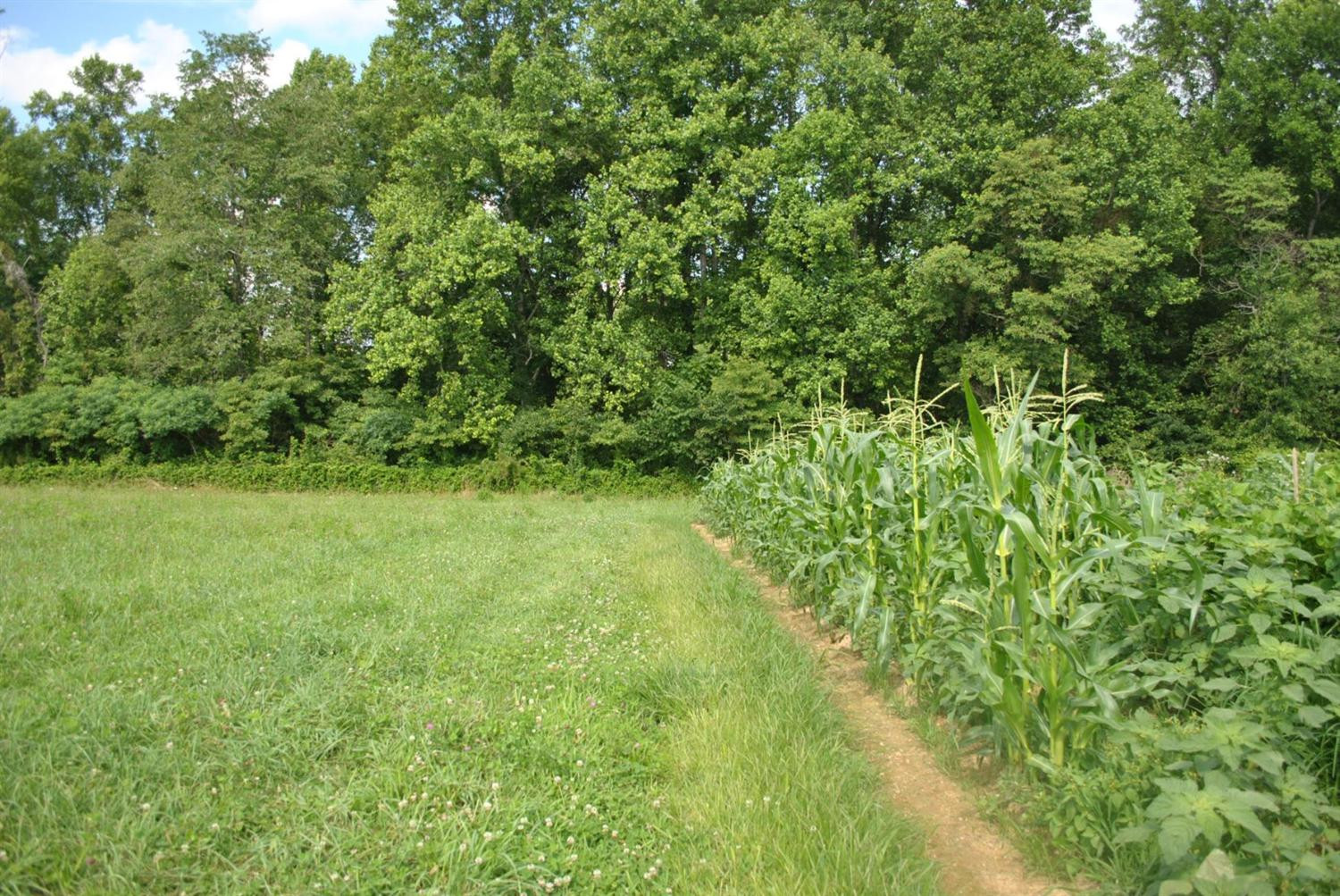 8380 Barbourville Road London, KY 40744 - Photo 50 of 62 Photo 50