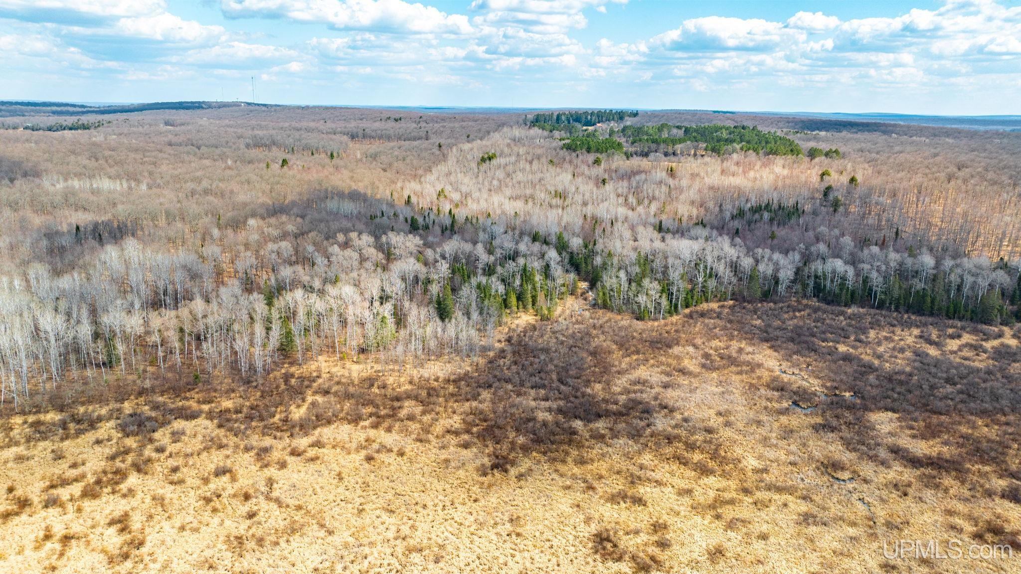 Tbd Passamani Road Iron River, MI 49935 - Photo 13 of 41