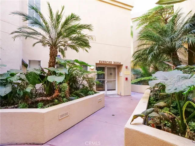 a view of a house with a small yard and large trees
