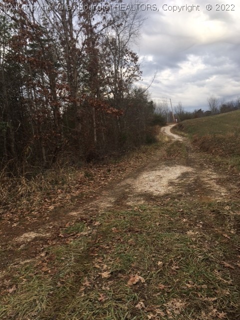 0 Sines Road Letart, WV 25253 - Photo 3 of 11 Gallery Image 3