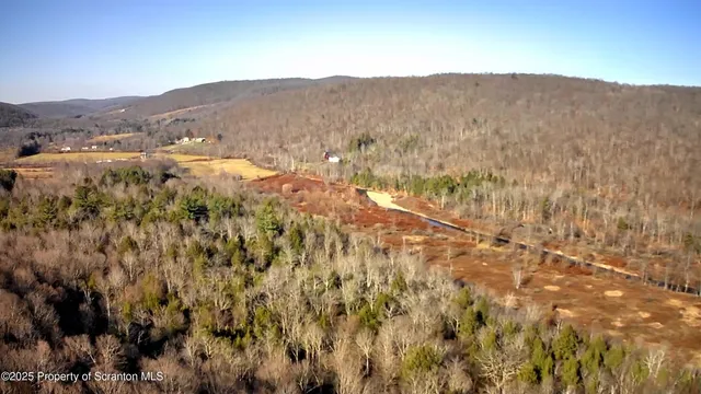 a view of a mountain range with trees in the background