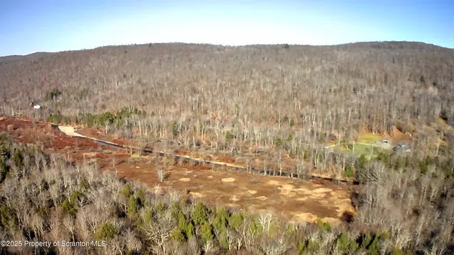 a view of a dry field with trees in the background