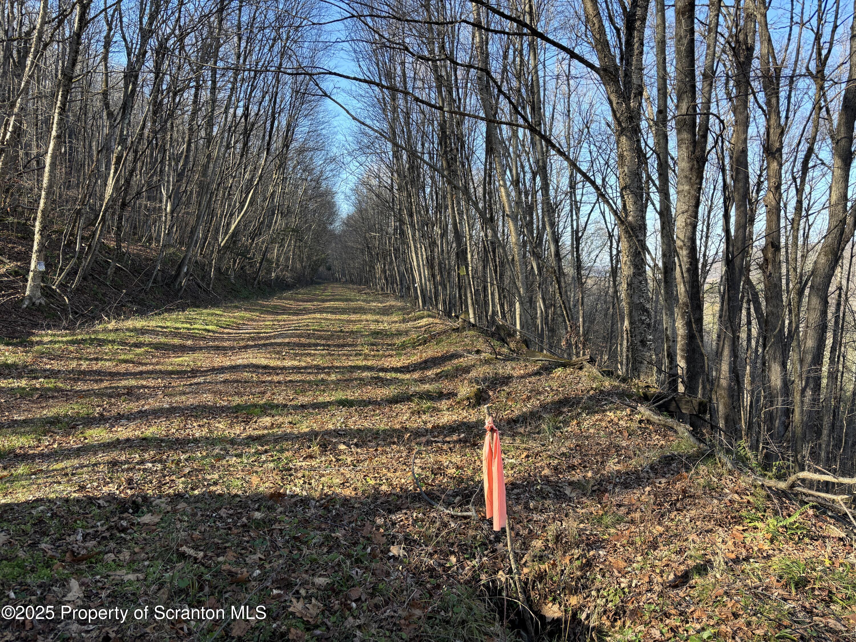 Starrucca Creek Road Starrucca, PA 18462 - Photo 14 of 20 a backyard of a house with lots of green space