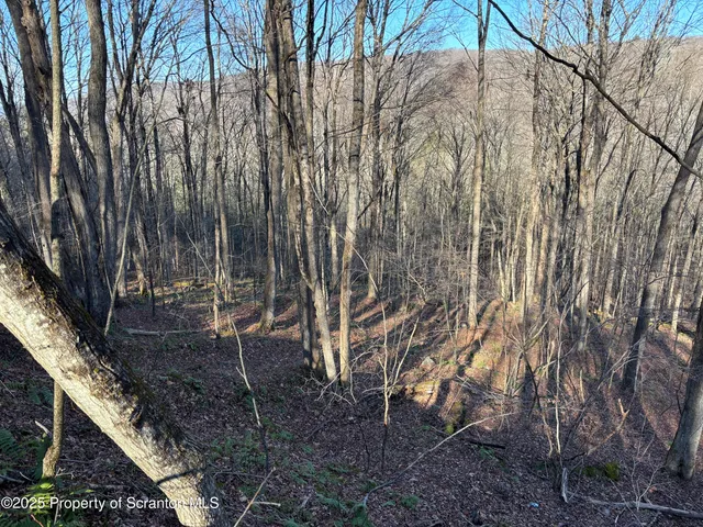 a backyard of a house with an outdoor space
