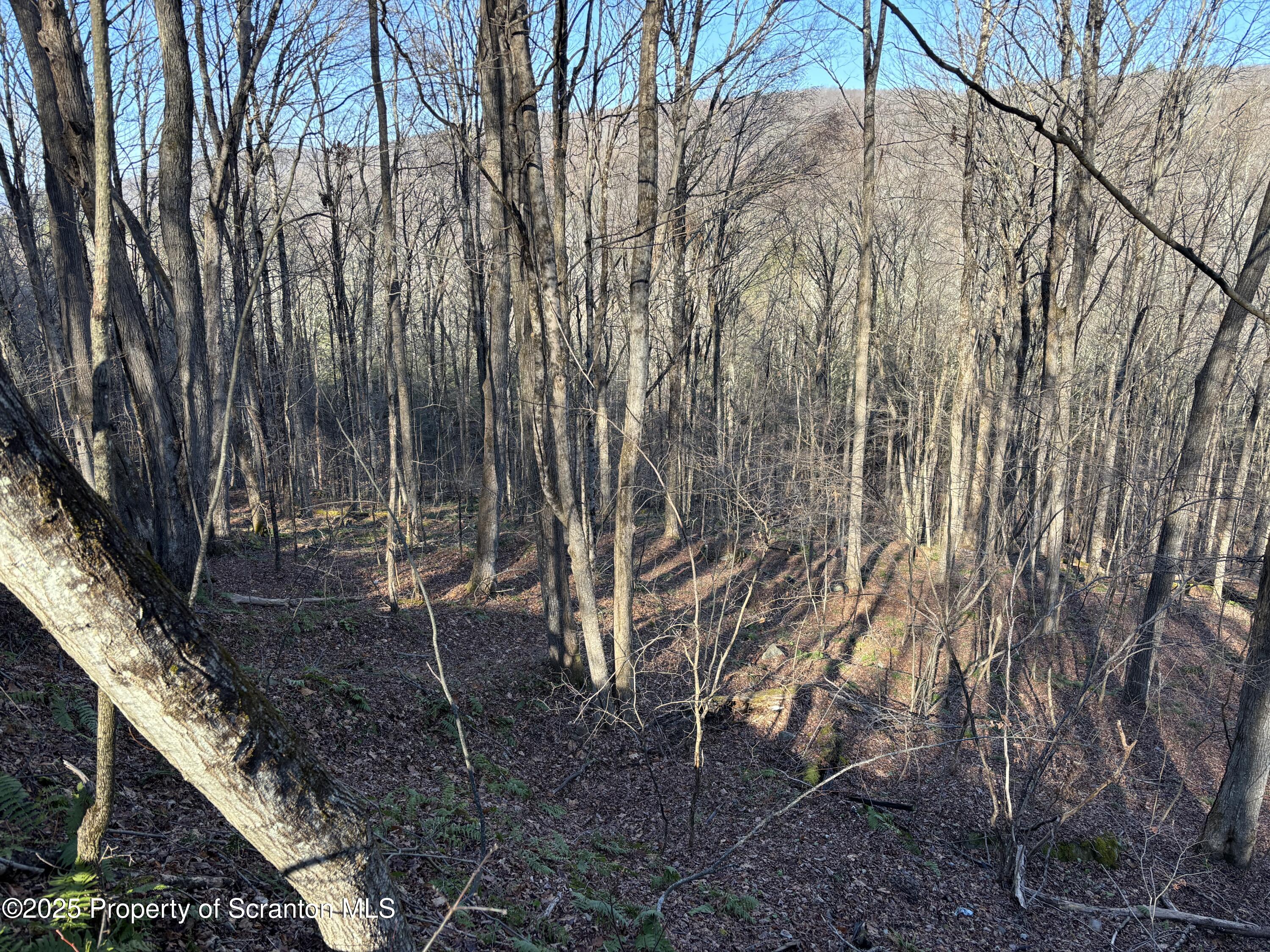 Starrucca Creek Road Starrucca, PA 18462 - Photo 18 of 20 a backyard of a house with lots of green space