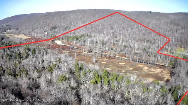 a view of a flower in a garden